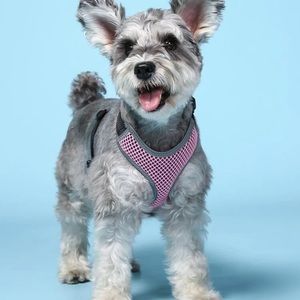 Pink dog harness